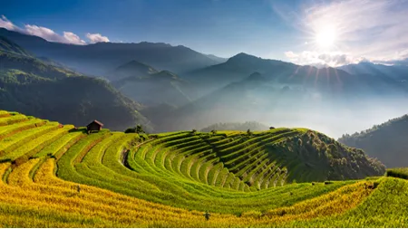 sunny-day-in-mu-cang-chai